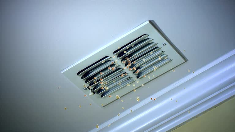 Best Ventilation Cleaning Services  in Santa Fe, TX